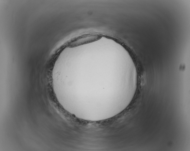 X0000112721496200909171052