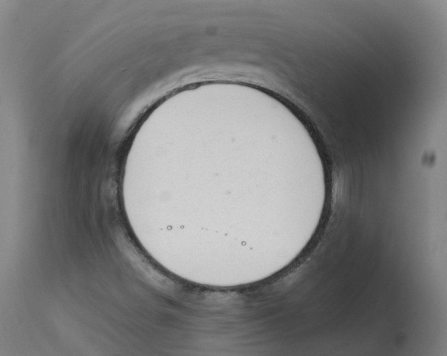 X0000112721498200909171052