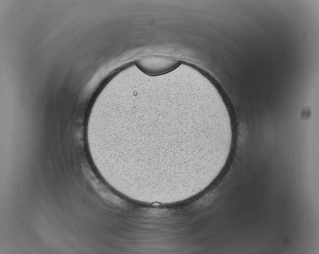 X0000112721499200909171052