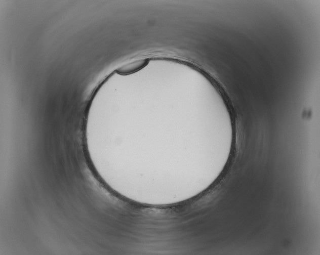 X0000112721500200909171052