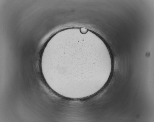 X0000112721502200909171052