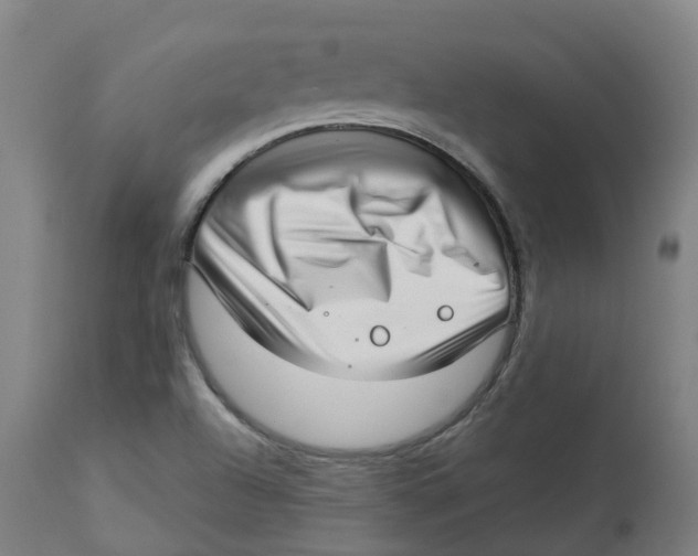 X0000112721504200909171052