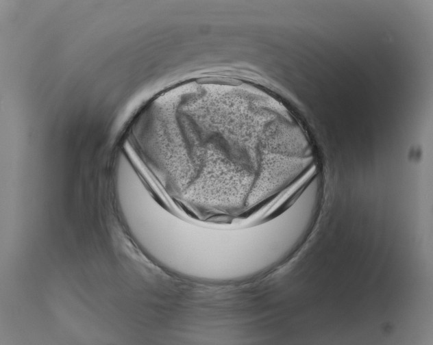 X0000112721506200909171052