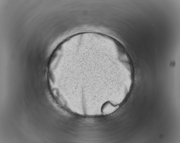 X0000112721507200909171052