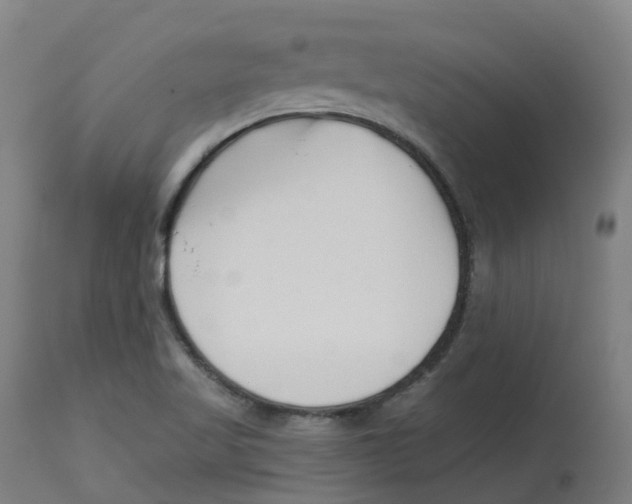 X0000112721509200909171053