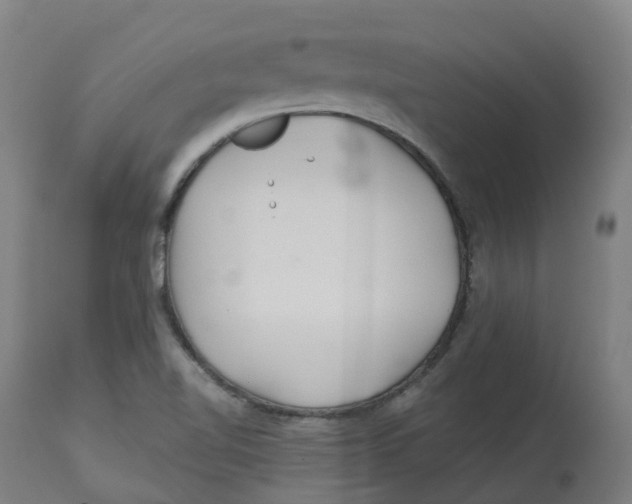 X0000112721510200909171053