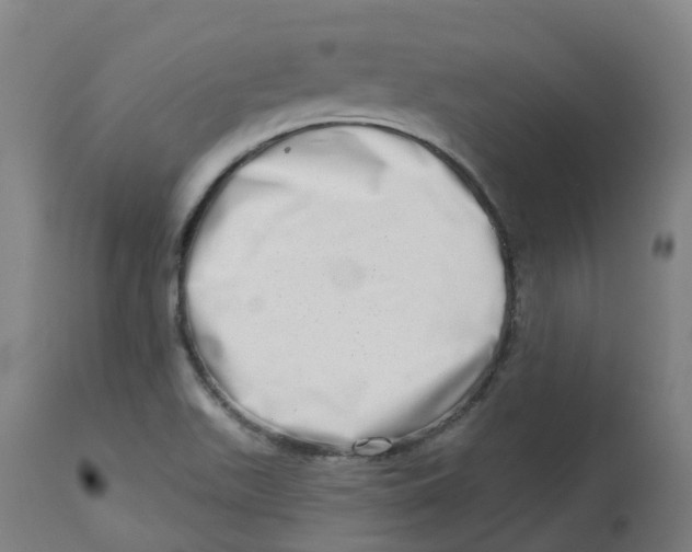 X0000112721511200909171053