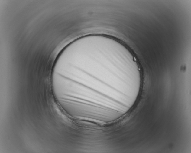 X0000112721513200909171053