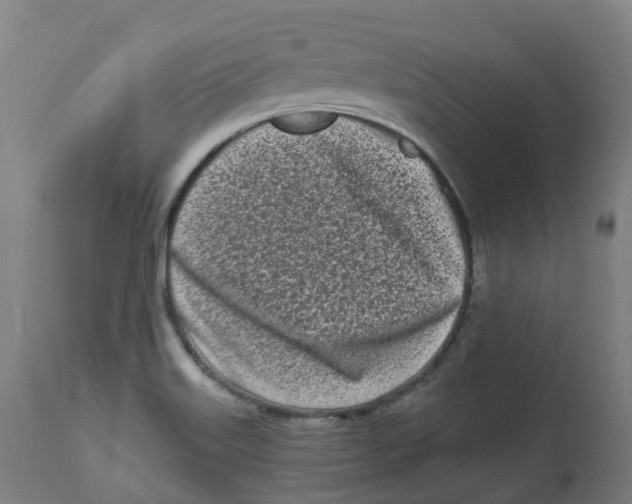 X0000112721515200909171053