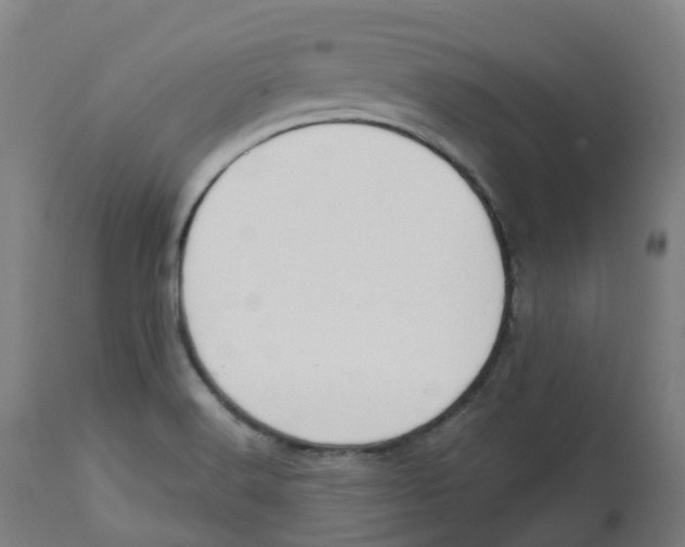 X0000112721516200909171053