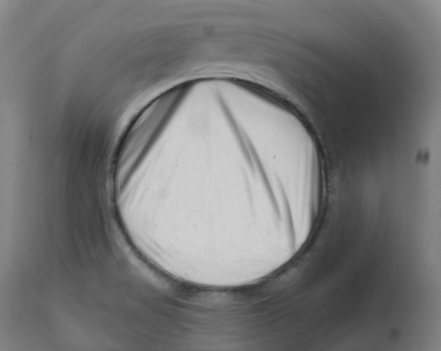 X0000112721517200909171053