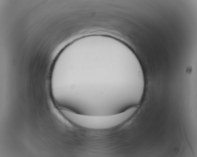 X0000112721518200909171053