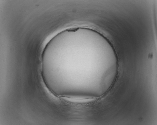 X0000112721520200909171053