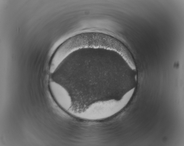 X0000112721522200909171053