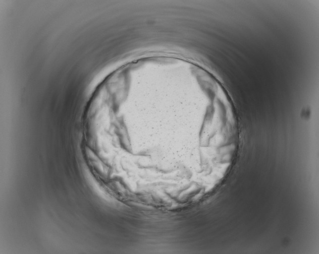 X0000112721523200909171053