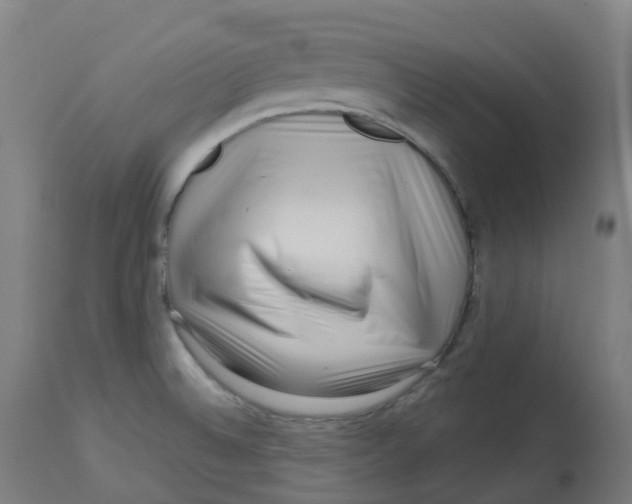 X0000112721524200909171053