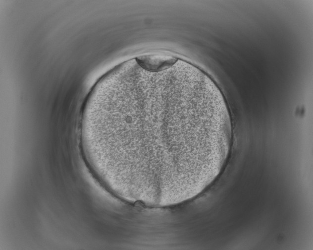 X0000112721526200909171053