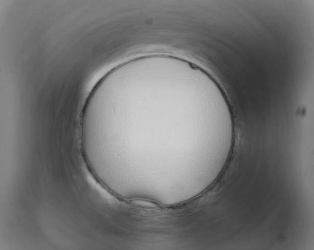 X0000112721527200909171053