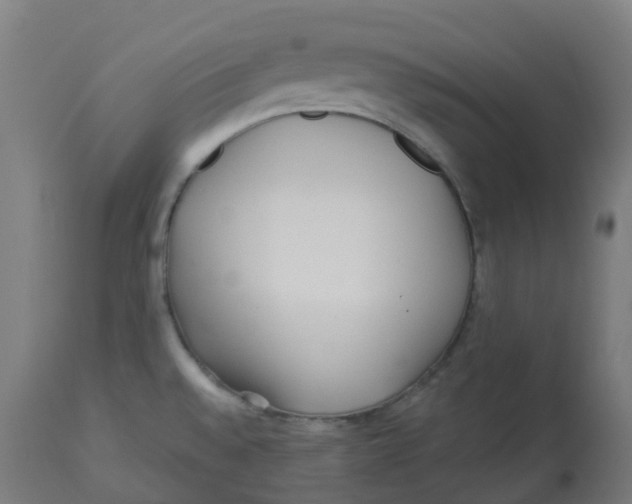 X0000112721528200909171053