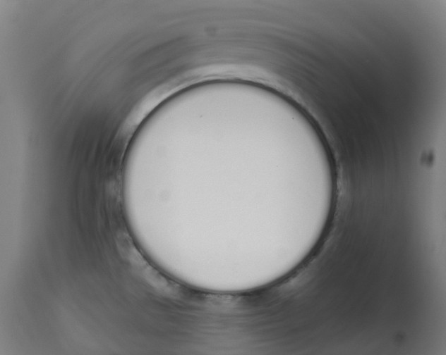 X0000112721529200909171053