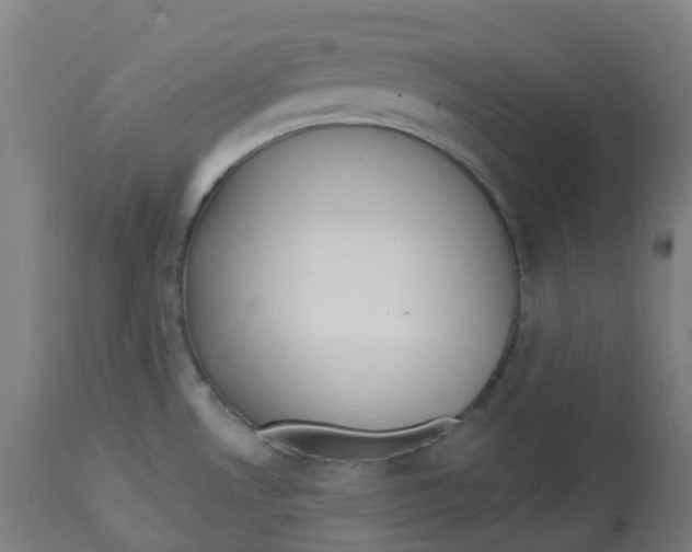 X0000112721530200909171053