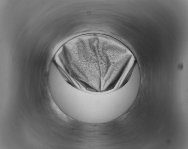 X0000112721532200909171053