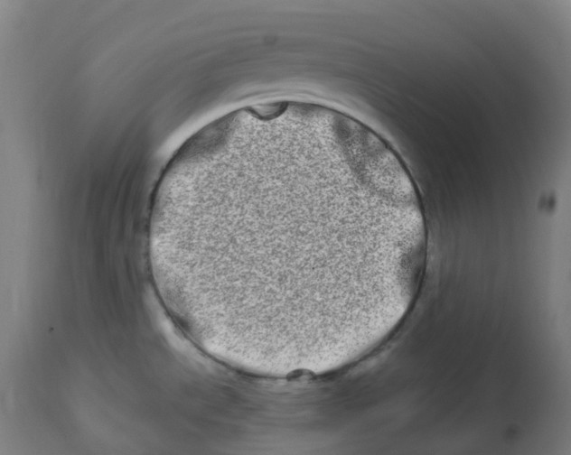 X0000112721534200909171053