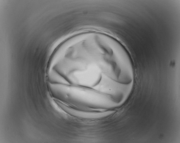 X0000112721535200909171053