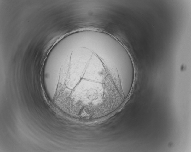 X0000112720001200910011144