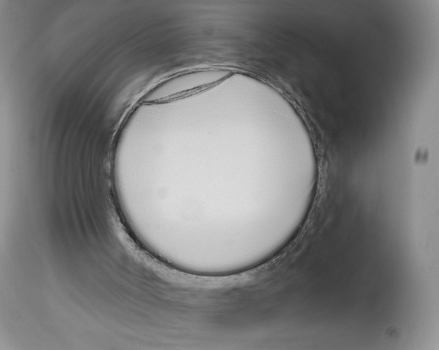 X0000112720002200910011144