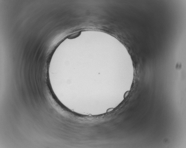 X0000112720005200910011144