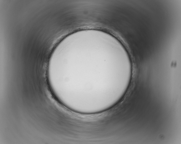 X0000112720010200910011143