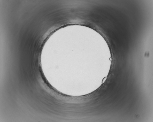 X0000112720011200910011143