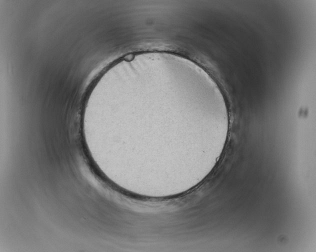 X0000112720012200910011143