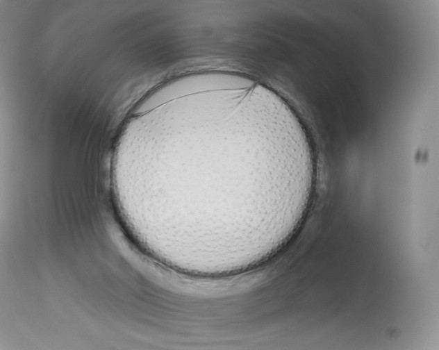 X0000112720014200910011143