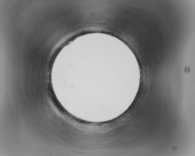 X0000112720016200910011143