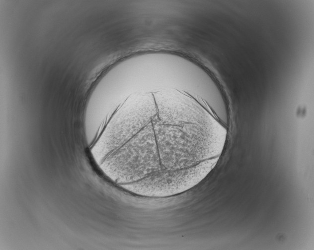 X0000112720019200910011143