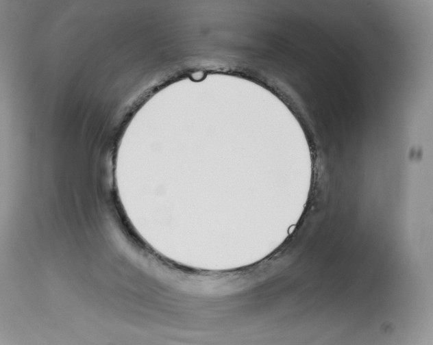 X0000112720020200910011143