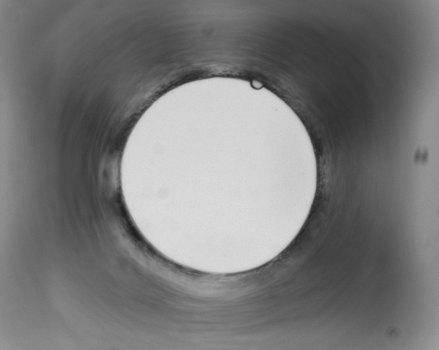 X0000112720028200910011143