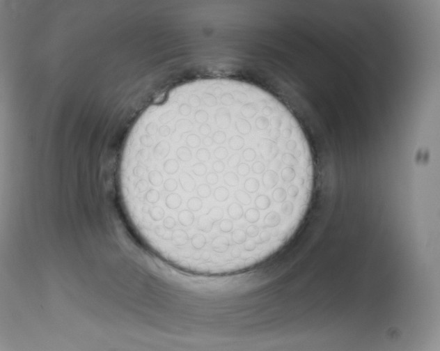 X0000112720030200910011143