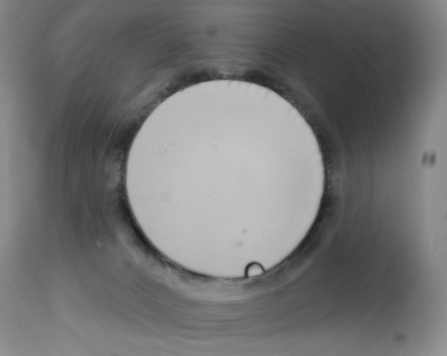 X0000112720032200910011143