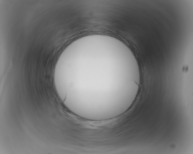 X0000112720033200910011143