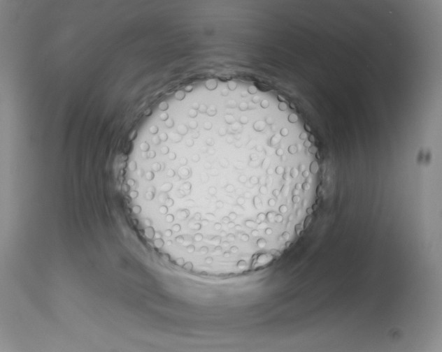 X0000112720034200910011143