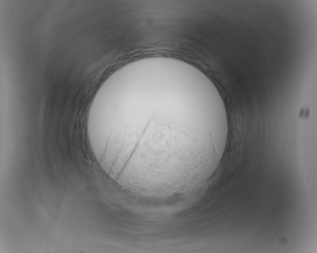 X0000112720037200910011143