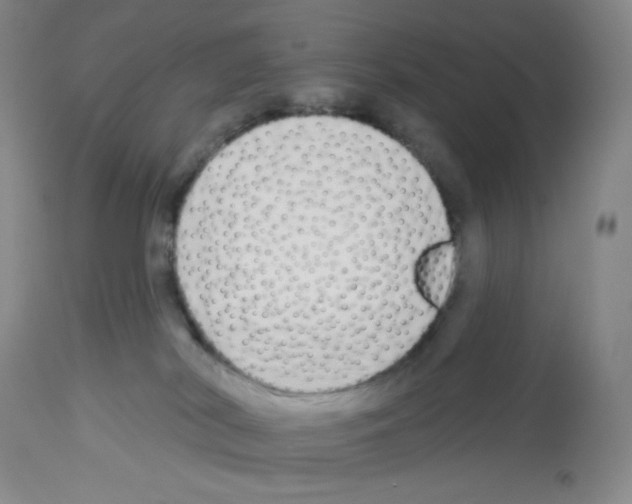 X0000112720038200910011143