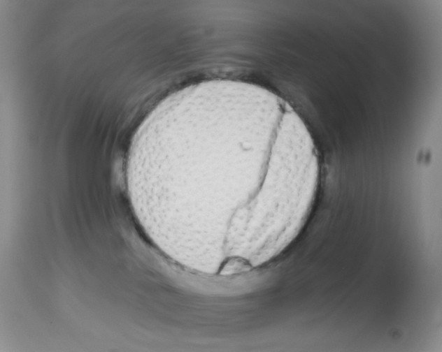 X0000112720042200910011143