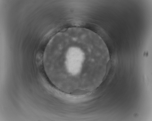 X0000112720043200910011143