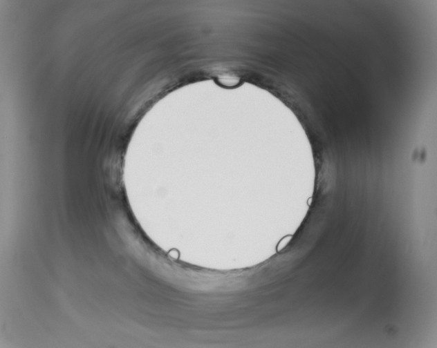 X0000112720044200910011143