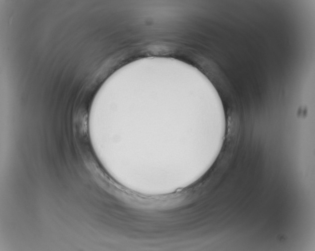 X0000112720046200910011143