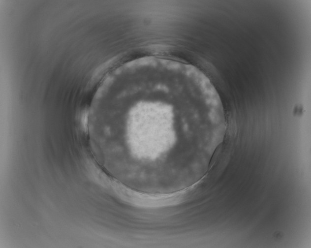 X0000112720047200910011143